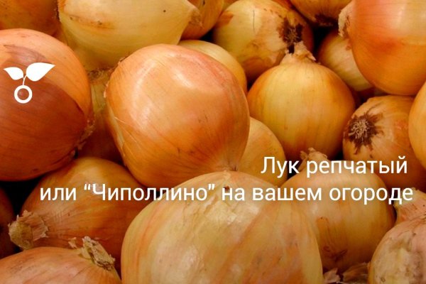 Tor сайт mega